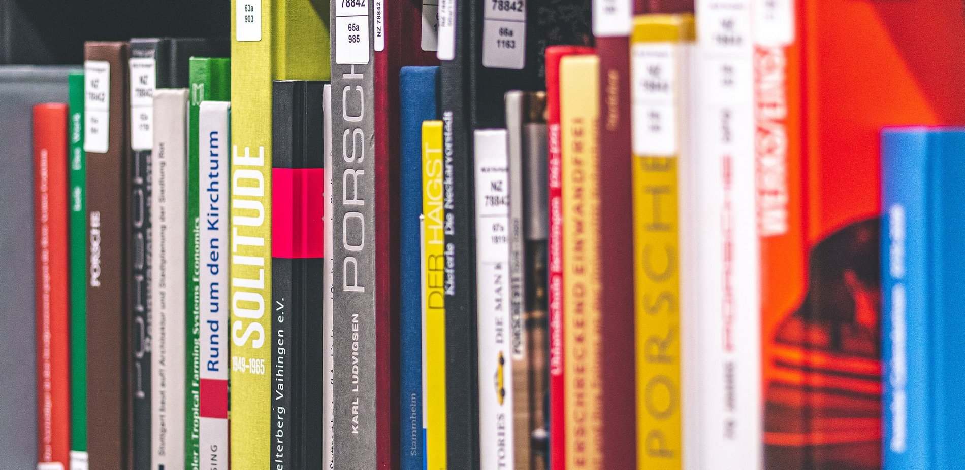 Eine Reihe von bunten Buchrücken, die verschiedene Titel und Autoren zeigen.