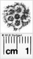 Image Description for https://www.wlb-stuttgart.de/kyriss/images/s0021207.jpg