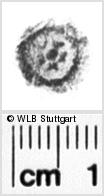 Image Description for https://www.wlb-stuttgart.de/kyriss/images/s0024009.jpg