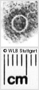 Image Description for https://www.wlb-stuttgart.de/kyriss/images/s0024306.jpg