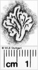 Image Description for https://www.wlb-stuttgart.de/kyriss/images/s0030848.jpg