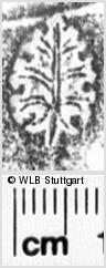 Image Description for https://www.wlb-stuttgart.de/kyriss/images/s0032311.jpg