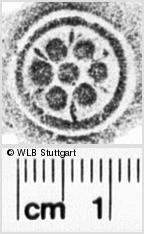 Image Description for https://www.wlb-stuttgart.de/kyriss/images/s0034330.jpg
