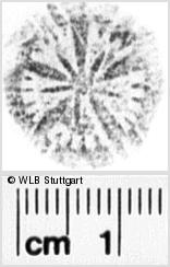 Image Description for https://www.wlb-stuttgart.de/kyriss/images/s0041906.jpg