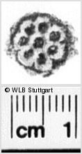 Image Description for https://www.wlb-stuttgart.de/kyriss/images/s0044505.jpg