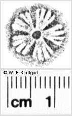 Image Description for https://www.wlb-stuttgart.de/kyriss/images/s0052035.jpg