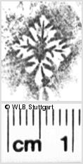 Image Description for https://www.wlb-stuttgart.de/kyriss/images/s0054512.jpg