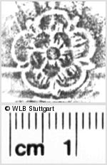 Image Description for https://www.wlb-stuttgart.de/kyriss/images/s0055010.jpg