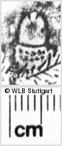 Image Description for https://www.wlb-stuttgart.de/kyriss/images/s0055021.jpg