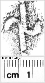Image Description for https://www.wlb-stuttgart.de/kyriss/images/s0056021.jpg
