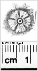 Image Description for https://www.wlb-stuttgart.de/kyriss/images/s0061806.jpg