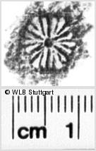 Image Description for https://www.wlb-stuttgart.de/kyriss/images/s0066006.jpg