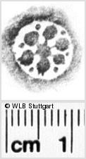 Image Description for https://www.wlb-stuttgart.de/kyriss/images/s0072411.jpg