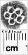 Image Description for https://www.wlb-stuttgart.de/kyriss/images/s0072612.jpg