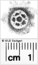 Image Description for https://www.wlb-stuttgart.de/kyriss/images/s0074212.jpg