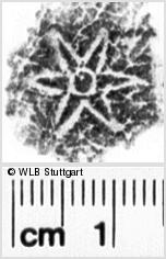 Image Description for https://www.wlb-stuttgart.de/kyriss/images/s0082404.jpg