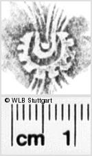 Image Description for https://www.wlb-stuttgart.de/kyriss/images/s0091206.jpg