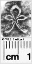 Image Description for https://www.wlb-stuttgart.de/kyriss/images/s0102209.jpg