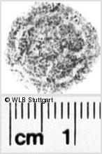 Image Description for https://www.wlb-stuttgart.de/kyriss/images/s0102708.jpg