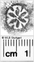 Image Description for https://www.wlb-stuttgart.de/kyriss/images/s0104907.jpg
