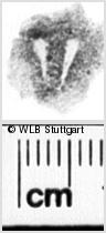 Image Description for https://www.wlb-stuttgart.de/kyriss/images/s0110506.jpg