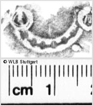 Image Description for https://www.wlb-stuttgart.de/kyriss/images/s0111515.jpg