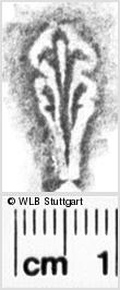 Image Description for https://www.wlb-stuttgart.de/kyriss/images/s0111912.jpg