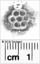 Image Description for https://www.wlb-stuttgart.de/kyriss/images/s0112221.jpg