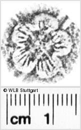 Image Description for https://www.wlb-stuttgart.de/kyriss/images/s0112607.jpg