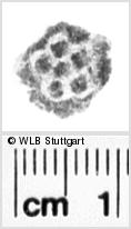 Image Description for https://www.wlb-stuttgart.de/kyriss/images/s0112611.jpg
