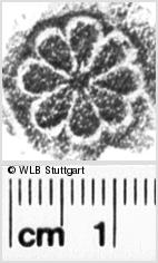 Image Description for https://www.wlb-stuttgart.de/kyriss/images/s0112712.jpg
