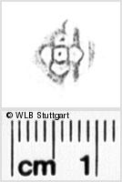 Image Description for https://www.wlb-stuttgart.de/kyriss/images/s0131013.jpg