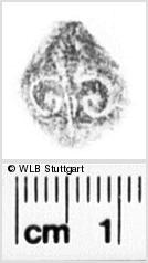 Image Description for https://www.wlb-stuttgart.de/kyriss/images/s0132451.jpg