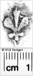 Image Description for https://www.wlb-stuttgart.de/kyriss/images/s0133406.jpg
