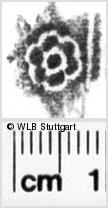Image Description for https://www.wlb-stuttgart.de/kyriss/images/s0133808.jpg