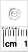 Image Description for https://www.wlb-stuttgart.de/kyriss/images/s0136507.jpg