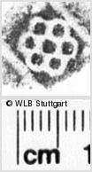 Image Description for https://www.wlb-stuttgart.de/kyriss/images/s0141337.jpg