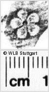 Image Description for https://www.wlb-stuttgart.de/kyriss/images/s0141707.jpg