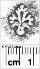 Image Description for https://www.wlb-stuttgart.de/kyriss/images/s0142242.jpg