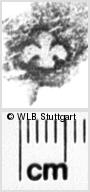 Image Description for https://www.wlb-stuttgart.de/kyriss/images/s0142509.jpg