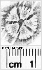 Image Description for https://www.wlb-stuttgart.de/kyriss/images/s0144028.jpg