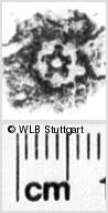 Image Description for https://www.wlb-stuttgart.de/kyriss/images/s0145936.jpg