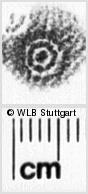 Image Description for https://www.wlb-stuttgart.de/kyriss/images/s0151832.jpg