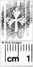 Image Description for https://www.wlb-stuttgart.de/kyriss/images/s0156907.jpg