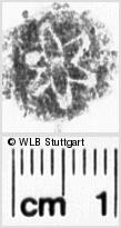 Image Description for https://www.wlb-stuttgart.de/kyriss/images/s0160812.jpg