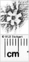 Image Description for https://www.wlb-stuttgart.de/kyriss/images/s0163206.jpg