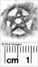 Image Description for https://www.wlb-stuttgart.de/kyriss/images/s0166207.jpg