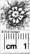 Image Description for https://www.wlb-stuttgart.de/kyriss/images/s0167610.jpg