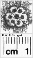 Image Description for https://www.wlb-stuttgart.de/kyriss/images/s0170212.jpg