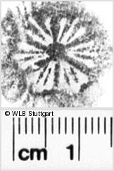 Image Description for https://www.wlb-stuttgart.de/kyriss/images/s0174010.jpg